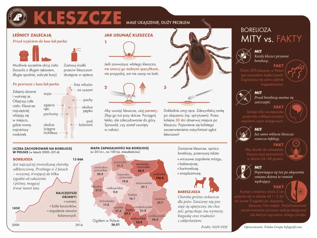 Zdjęcie Gdzie siedzą kleszcze i jak ich unikać w popularnych miejscach