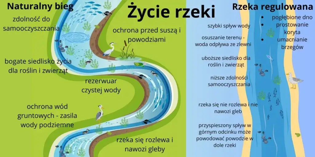 Zdjęcie Jak powstaje rzeka? Odkryj fascynujący proces formowania rzek