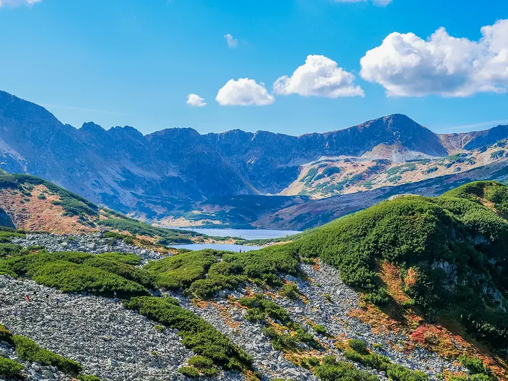Zdjęcie Jak dojechać z Zakopanego do Doliny Pięciu Stawów: wszystkie opcje i ceny