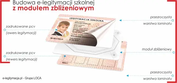 Zdjęcie Gdzie jest numer legitymacji szkolnej? Oto, co musisz wiedzieć