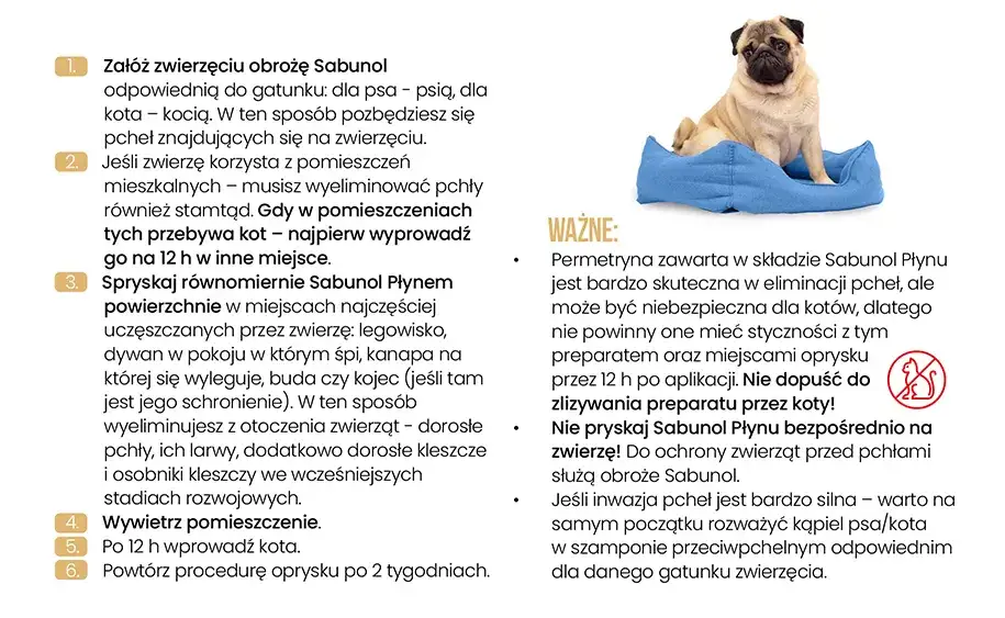 Zdjęcie Jak założyć obrożę Sabunol, aby zapewnić bezpieczeństwo i komfort?