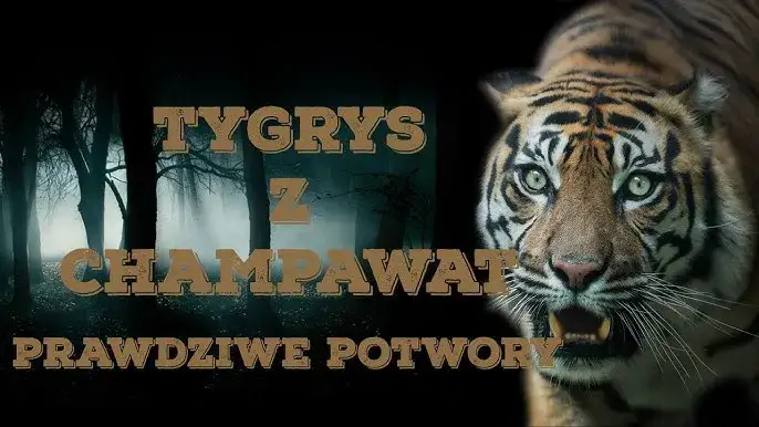 Zdjęcie Najlepsze filmy o tygrysach, które musisz zobaczyć i przeżyć emocje