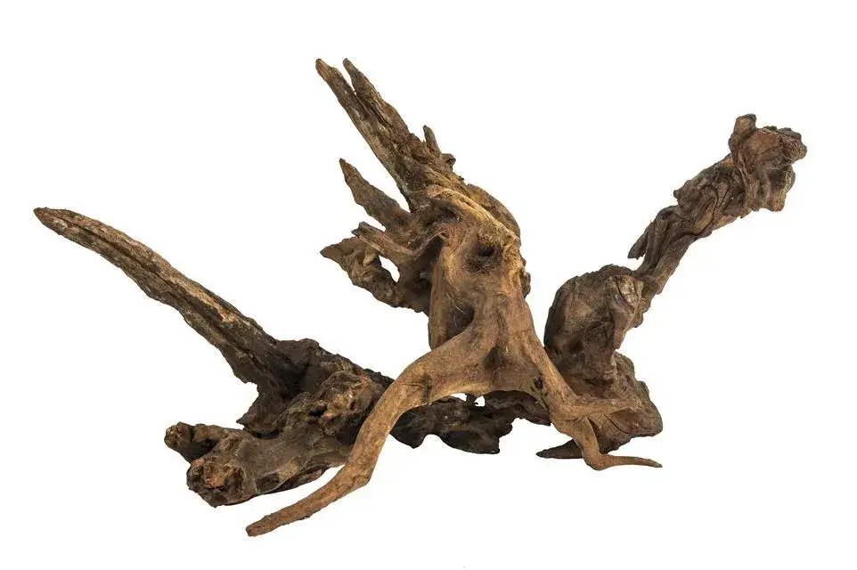 Zdjęcie Jakie drewno do akwarium wybrać - kompletna lista bezpiecznych gatunków