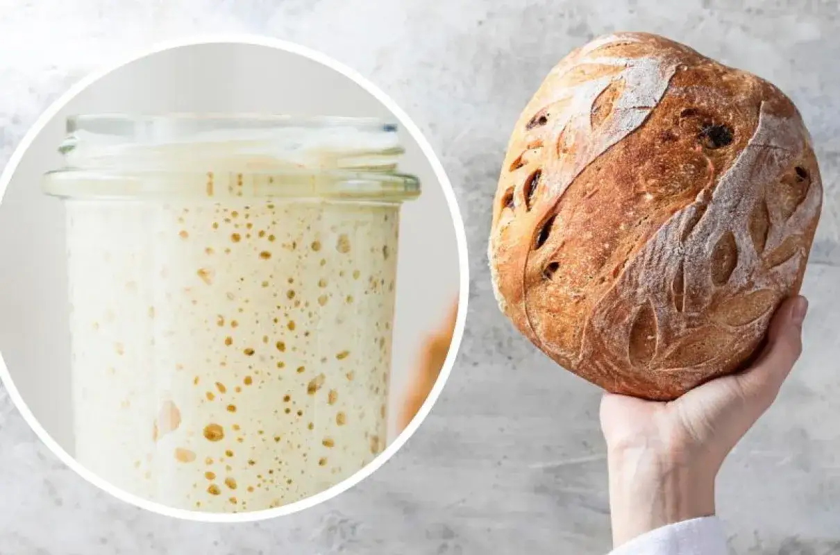 Zdjęcie Z jakiej mąki zrobić zakwas na chleb, aby uzyskać najlepszy smak?