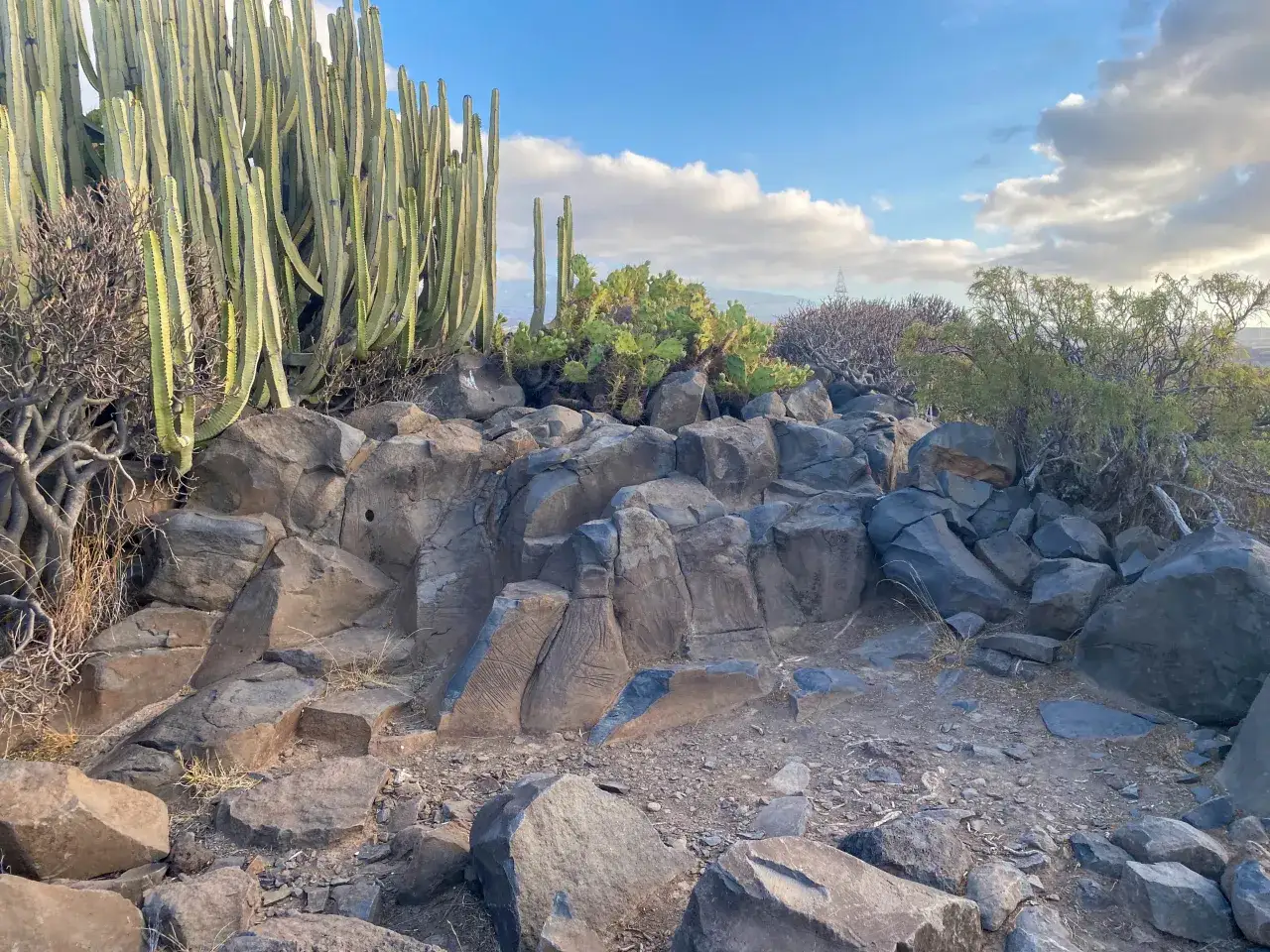 Zdjęcie Monta&ntilde;a de Ifara y Los Riscos: Tu gu&iacute;a para la aventura volc&aacute;nica en Tenerife