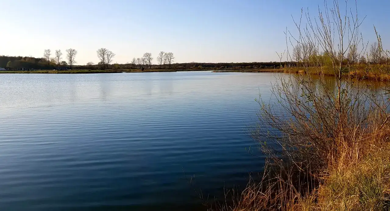 Zdjęcie Łowisko Drwinia: najlepsze miejsca na łowienie dużych ryb