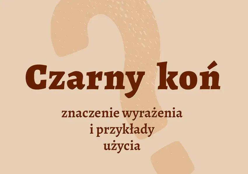 Zdjęcie Odpowiedź na zagadkę: koń czarny jak sadza i jego znaczenie