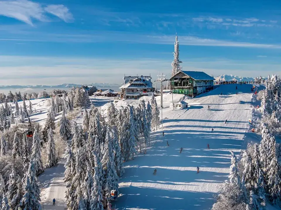 Zdjęcie Ile kosztuje instruktor narciarski? Ceny lekcji i co wpływa na koszt
