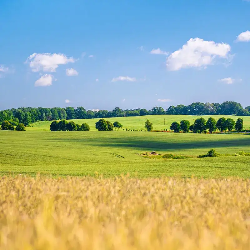 Zdjęcie Najpiękniejsze miejsca w zachodniopomorskim, które musisz zobaczyć