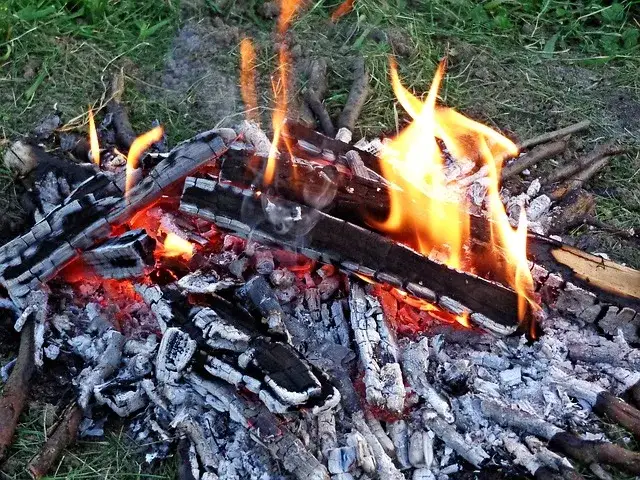 Zdjęcie Jak rozpalić w kominku bez rozpałki – proste i naturalne metody, które działają