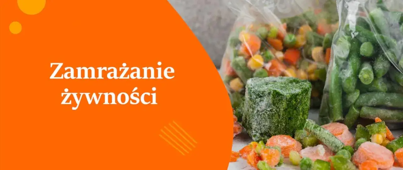 Zdjęcie Czy można zamrozić sos z mięsem? Bezpieczne metody i porady