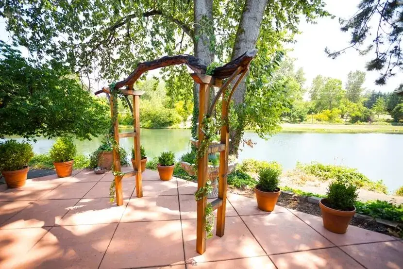 Zdjęcie Jakie kwiaty na pergolę – piękne rośliny, które zachwycą każdego