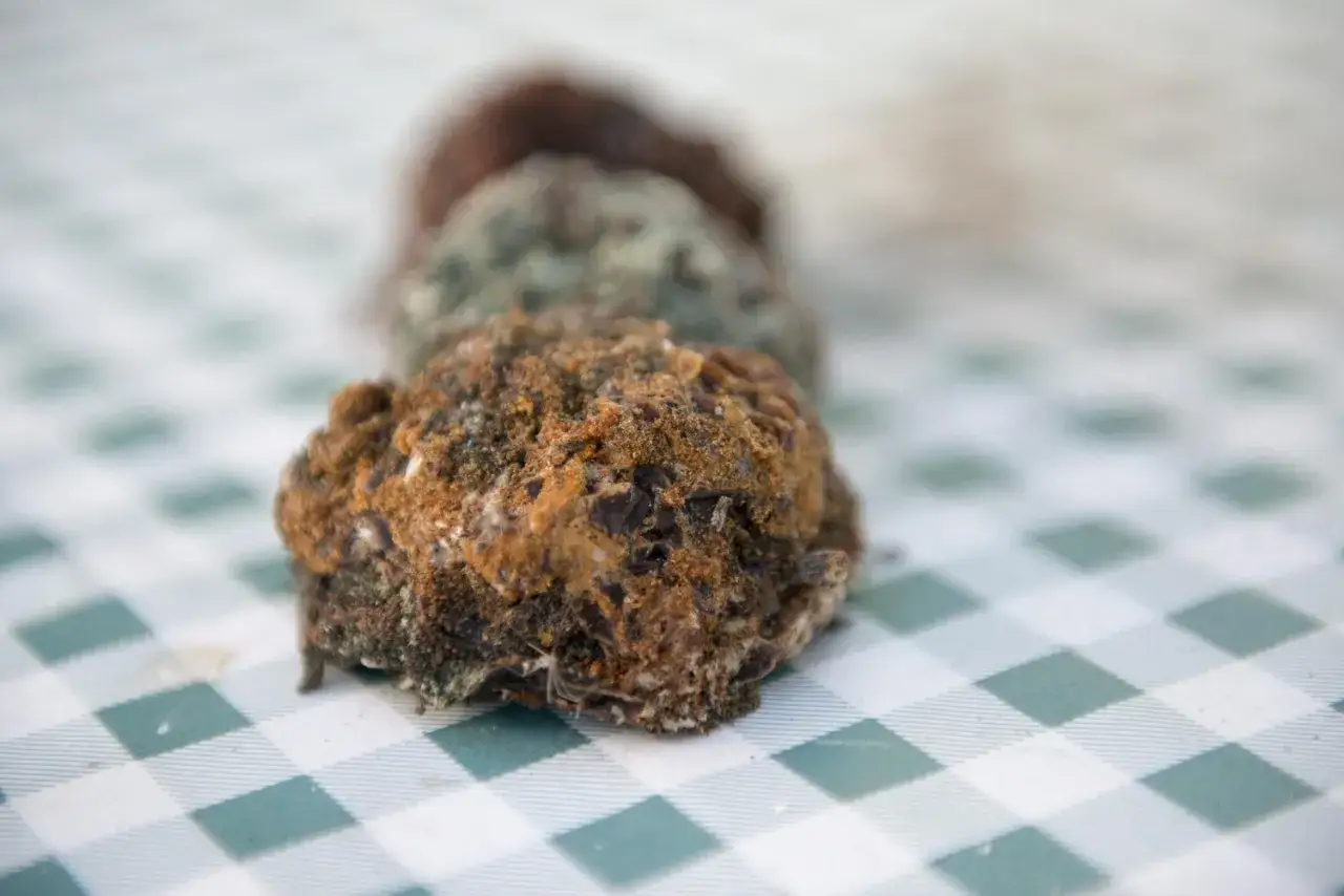 Zdjęcie Co oznacza sen o kupie ludzkiej? Zrozum swoje emocje i konflikty