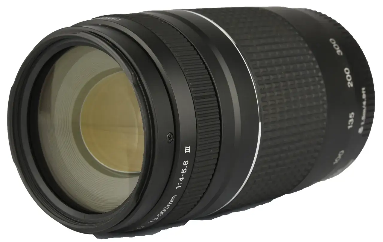 Zdjęcie Obiektyw 75-300 mm: Rewelacyjne zastosowania w różnych rodzajach fotografii