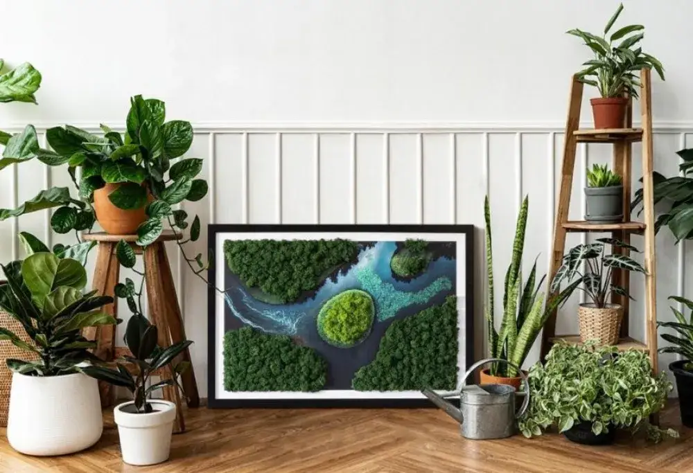 Zdjęcie Jak dbać o mech dekoracyjny, aby zachował świeżość i piękno