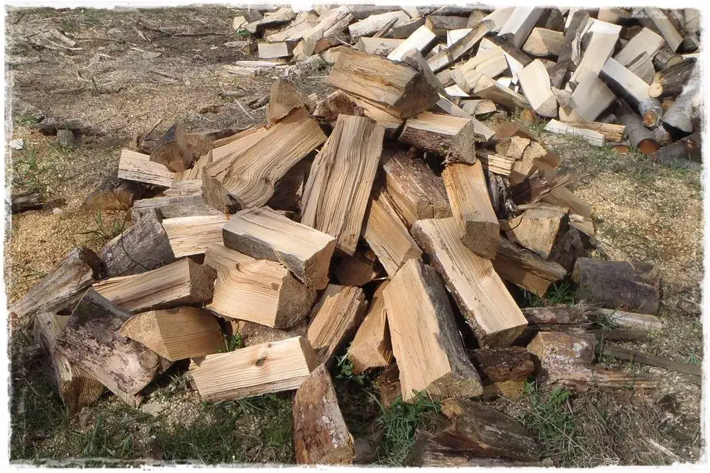 Zdjęcie Ile drewna na ognisko? Poznaj idealną ilość na każdą okazję