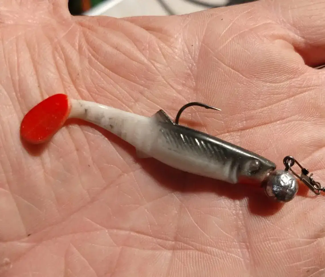 Zdjęcie Skuteczne przynęty na pstrąga: uniknij najczęstszych błędów w wędkarstwie