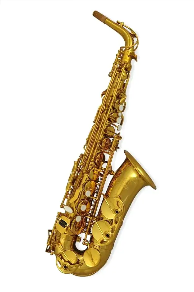 Zdjęcie Jaki saksofon wybrać, aby uniknąć błędów początkującego muzyka?