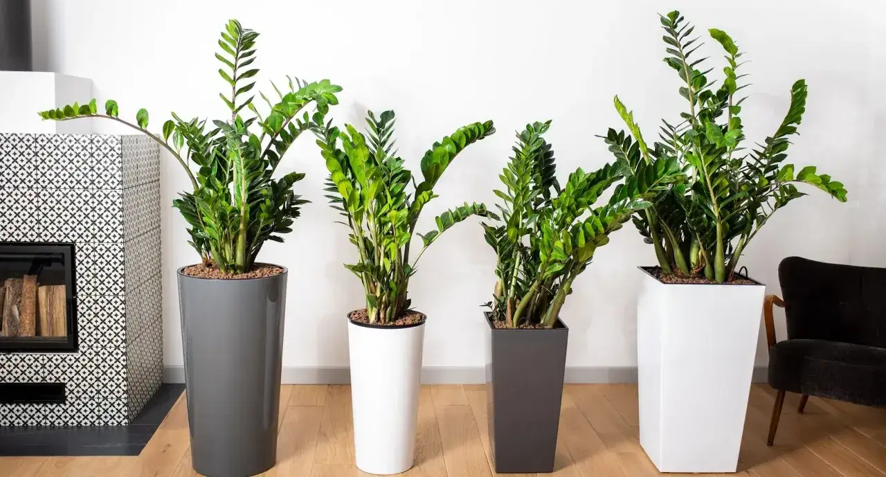 Zdjęcie Jakie kwiaty na ołtarz do kościoła – wybierz idealne dekoracje