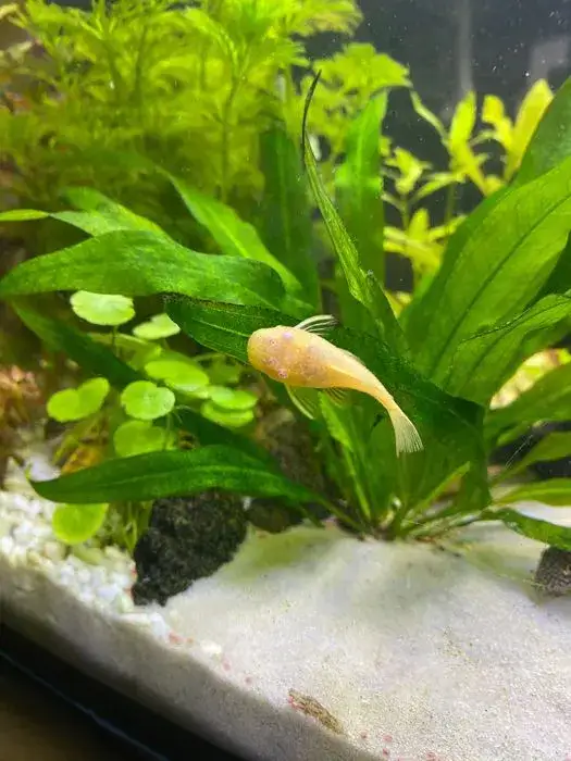 Zdjęcie Ile kosztują neonki? Sprawdź ceny i najlepsze oferty w Polsce