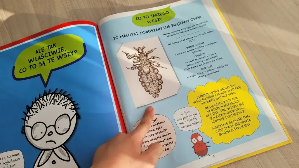 Zdjęcie Czy dziecko z wszami może chodzić do przedszkola? Zasady i porady dla rodziców