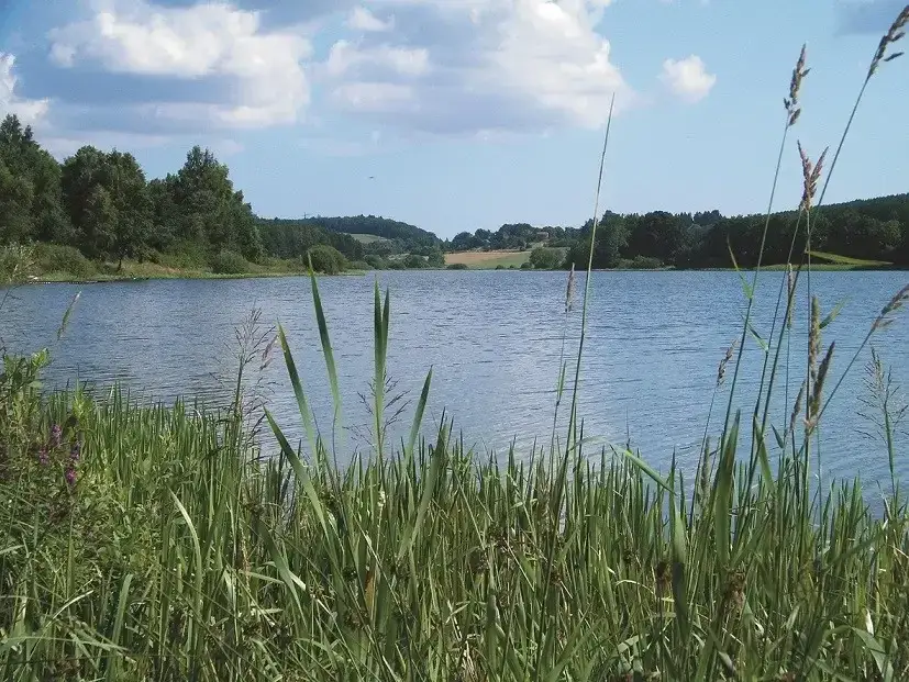 Zdjęcie Jezioro Wysockie: Odkryj piękno i atrakcje tego urokliwego miejsca