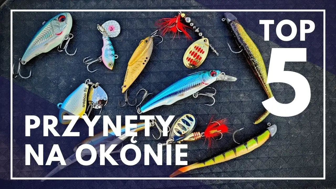 Zdjęcie Najlepsze przynęty okoniowe: skuteczne wybory dla wędkarzy