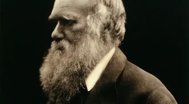 Zdjęcie Karol Darwin co odkrył? Niezwykłe fakty o teorii ewolucji