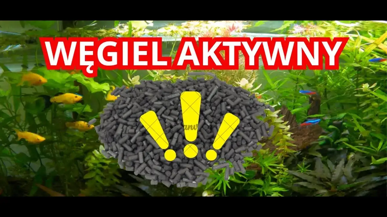 Zdjęcie Jak przygotować węgiel aktywny do akwarium, aby uniknąć problemów z wodą