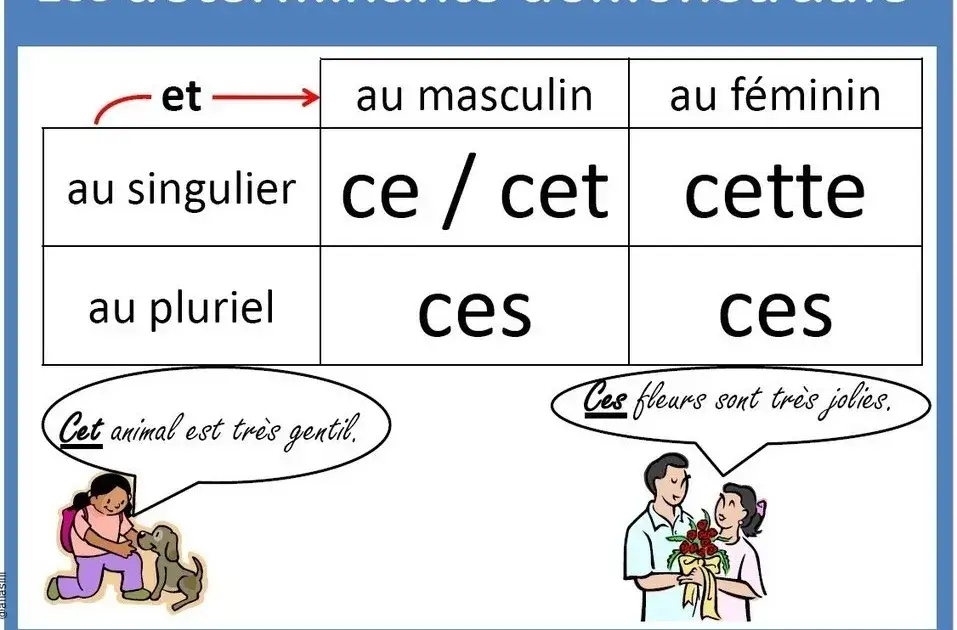 Zdjęcie Zaimki przymiotne wskazujące w języku francuskim – jak je stosować?