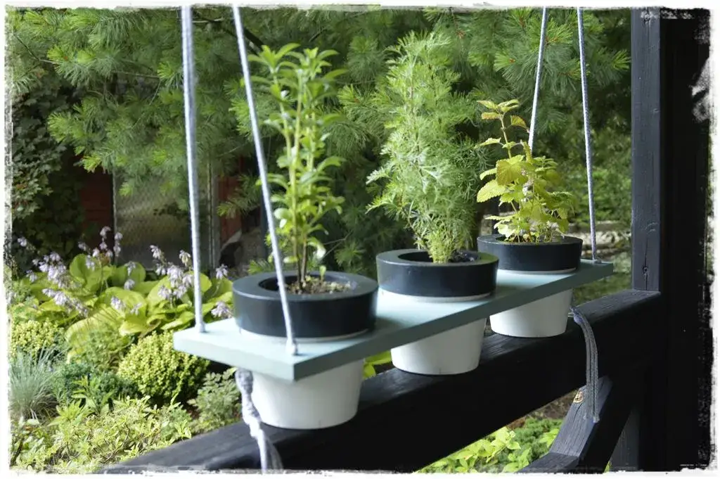 Zdjęcie Jak zrobić betonowe doniczki - proste kroki i unikalne pomysły