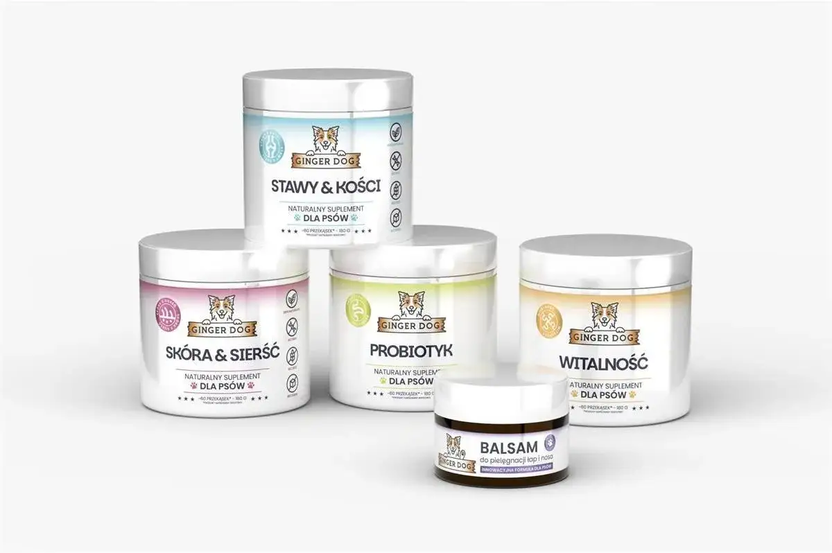 Zdjęcie Gdzie kupić probiotyk dla psa? Odkryj najlepsze opcje i porady