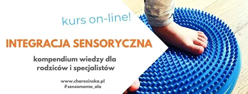 Zdjęcie Ceny kursów integracji sensorycznej – porównanie ofert w Polsce