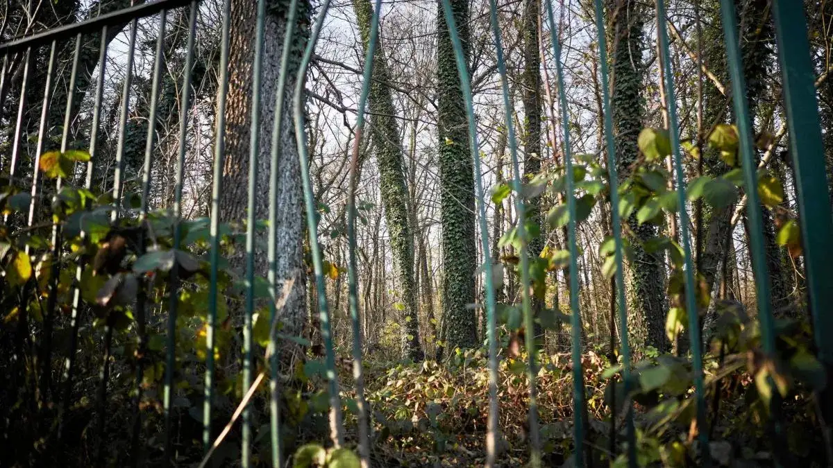 Zdjęcie Rezerwat przyrody Polesie Konstantynowskie: historia i atrakcje, które musisz poznać