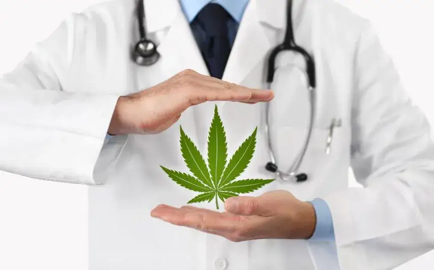Zdjęcie Medyczna marihuana w Polsce: wskazania, działanie i korzyści