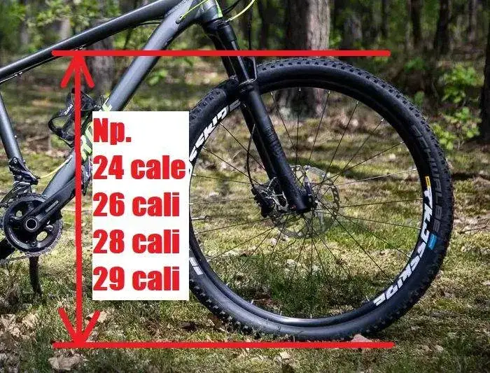 Zdjęcie Jak prawidłowo zmierzyć koło w rowerze i uniknąć błędów przy doborze opon
