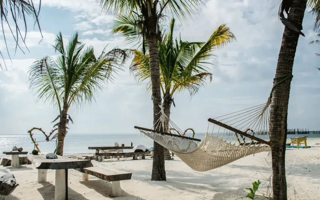 Zdjęcie Kiedy najlepiej jechać na Zanzibar? Oto prawda o pogodzie w lutym