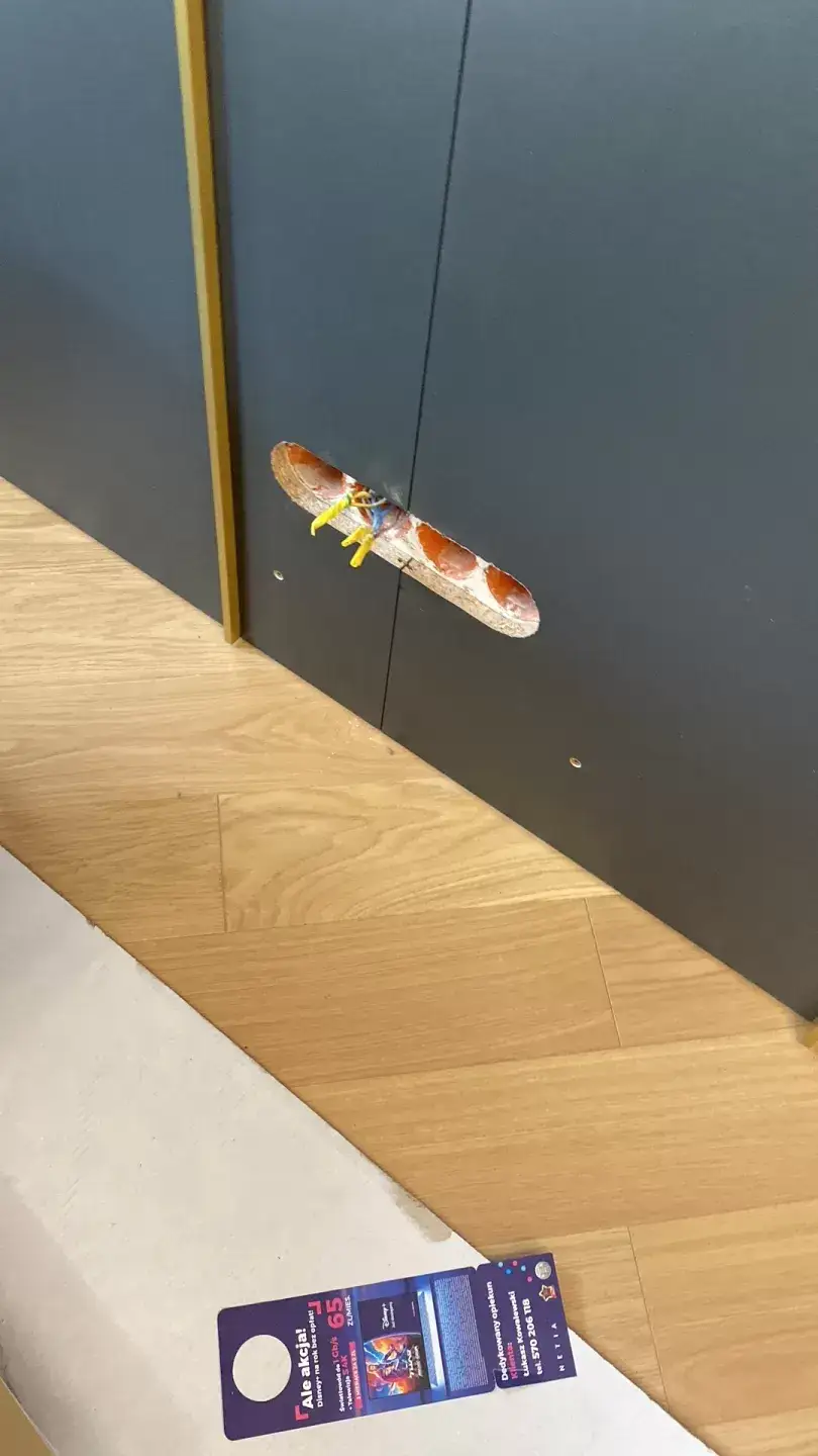 Zdjęcie Najpierw panele czy malowanie? Oto, co musisz wiedzieć, aby uniknąć błędów