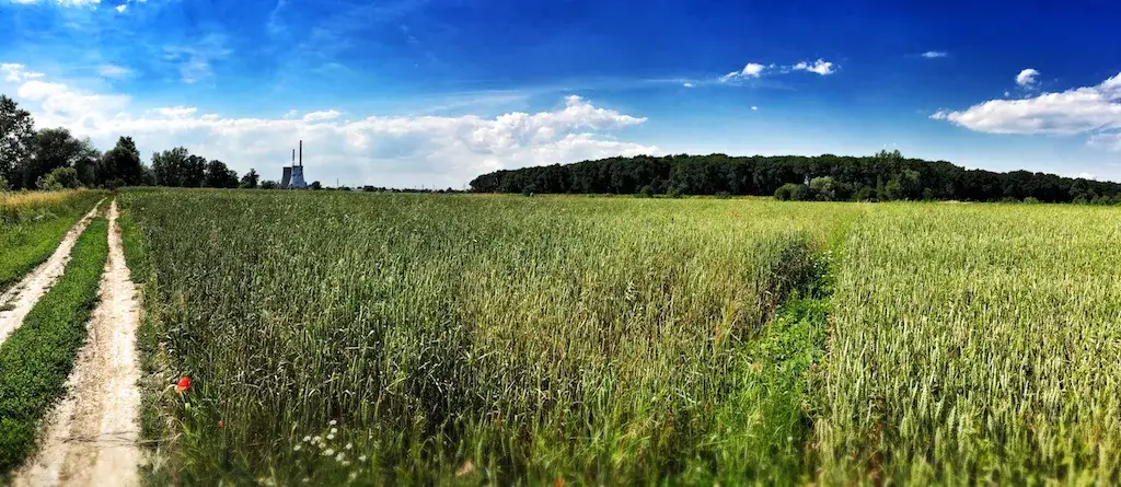 Zdjęcie Wiślana trasa rowerowa Kraków: odkryj ukryte skarby i trasy