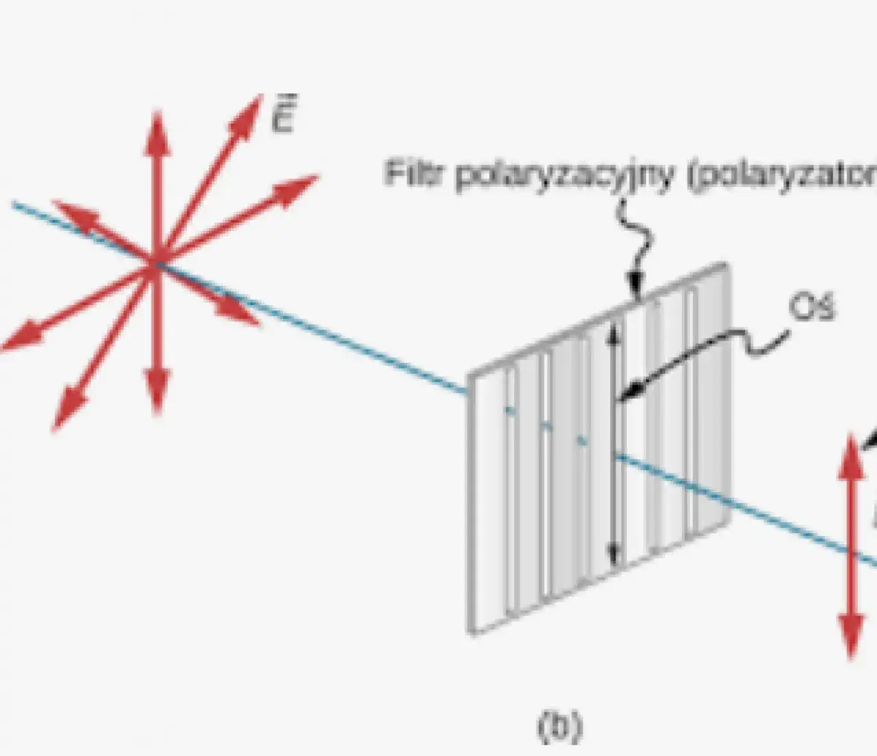 Zdjęcie Zjawisko polaryzacji i praktyczne zastosowanie w fizyce - prosty poradnik