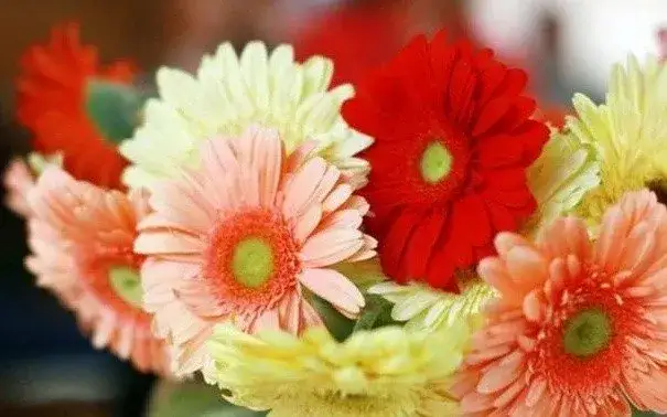 Zdjęcie Życzenia na Dzień Kobiet dla żony, które wzruszą i zachwycą