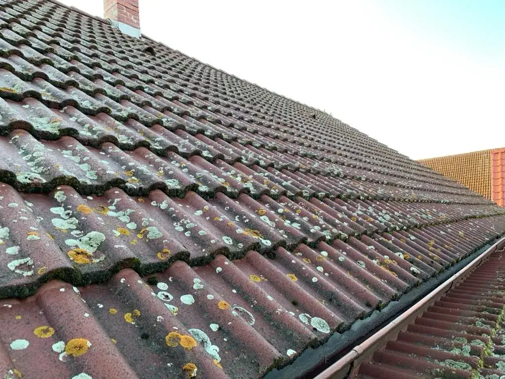 Zdjęcie Jak pomalować dachówkę betonową? Najlepsze farby i porady.