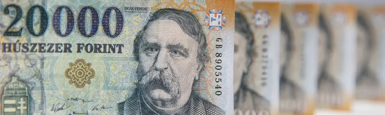 Zdjęcie Przelicznik Forinta HUF: Kurs i wskazówki dotyczące wymiany walut