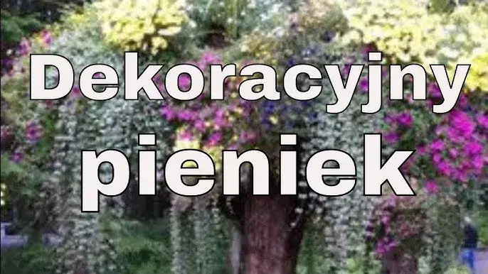 Zdjęcie Jak zrobić kwietnik z pnia drzewa i cieszyć się pięknem w ogrodzie