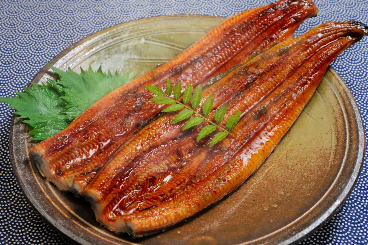 Zdjęcie Czym się żywi węgorz? Odkryj zaskakujące fakty o jego diecie