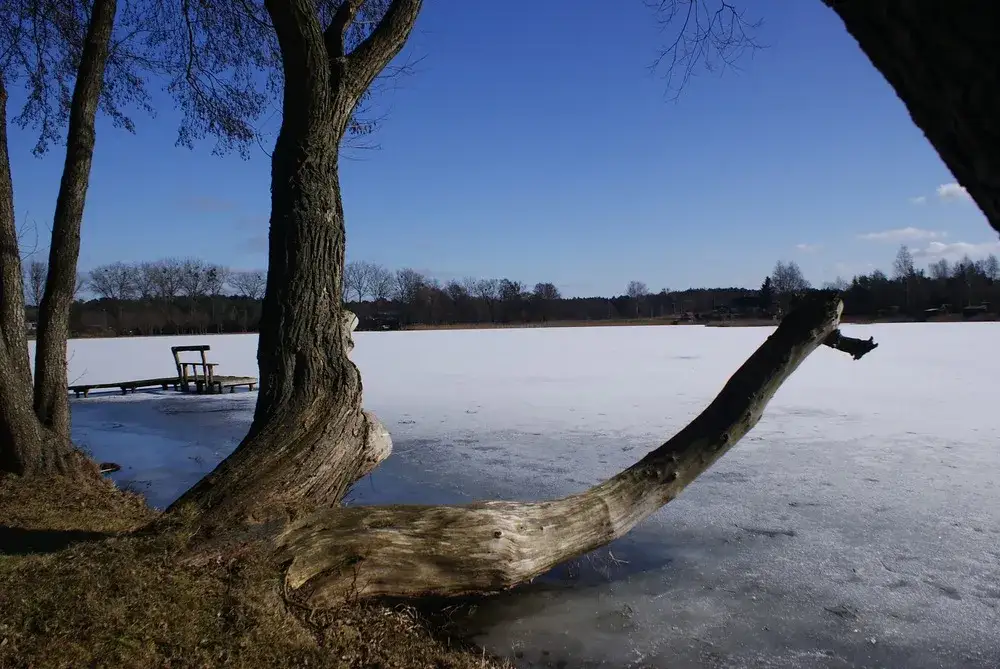 Zdjęcie Jezioro Kałębie: Odkryj piękno i atrakcje tego malowniczego miejsca