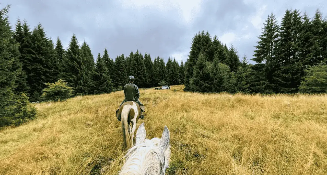Zdjęcie Gdzie można jeździć konno? Najlepsze miejsca na niezapomniane przeżycia