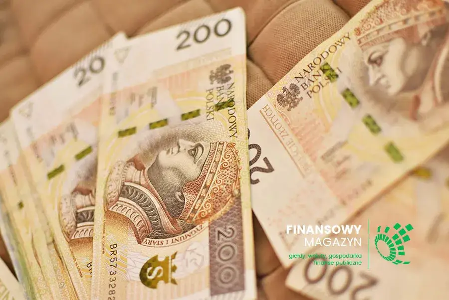 Zdjęcie Czy można dostać pożyczkę bez dowodu? Sprawdź ryzyka i legalne opcje