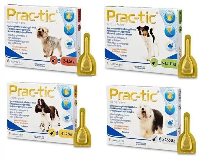 Zdjęcie Krople czy obroża na kleszcze – co wybrać, by skutecznie chronić psa?