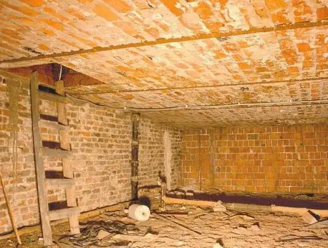 Zdjęcie Jaką wytrzymałość ma strop kleina? Kluczowe informacje o obciążeniu